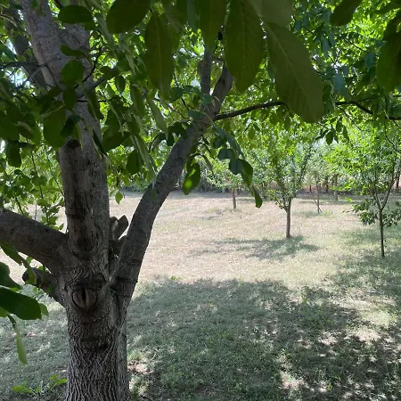 Dombos Appartamento *